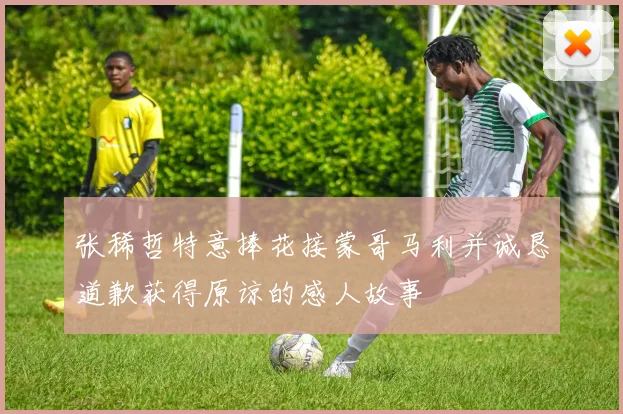 张稀哲特意捧花接蒙哥马利并诚恳道歉获得原谅的感人故事